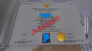 https://diktiresmi.com/jasa ijazah, biro jasa ijazah, jasa ijazah s1, jasa ijazah d3, jasa ijazah paket c, jasa ijazah aspal, biro jasa ijazah bagus terpercaya, jasa ijazah sma, jasa ijazah terpercaya, surya jasa ijazah, jasa pembuatan ijazah, jasa dokumen resmi