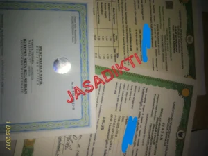 https://diktiresmi.com/jasa ijazah, biro jasa ijazah, jasa ijazah s1, jasa ijazah d3, jasa ijazah paket c, jasa ijazah aspal, biro jasa ijazah bagus terpercaya, jasa ijazah sma, jasa ijazah terpercaya, surya jasa ijazah, jasa pembuatan ijazah, jasa dokumen resmi